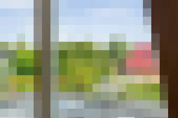 Korhoenweg 16 Havelte thumbnail 33