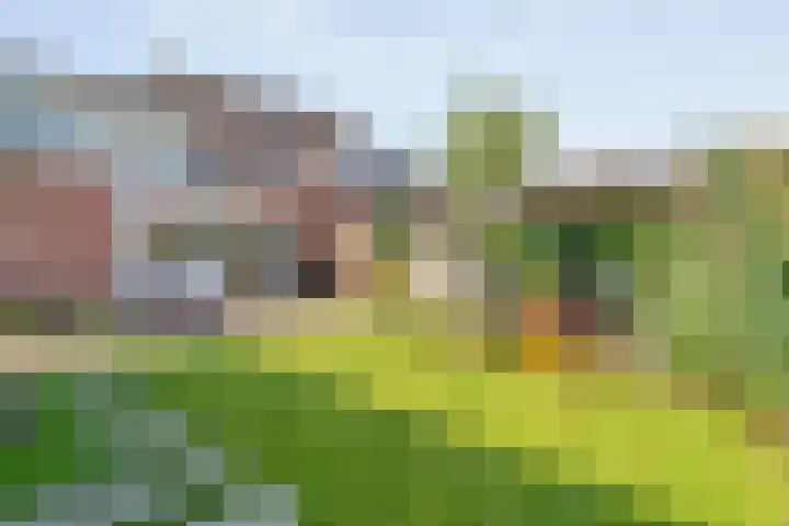 Korhoenweg 16 Havelte thumbnail 52