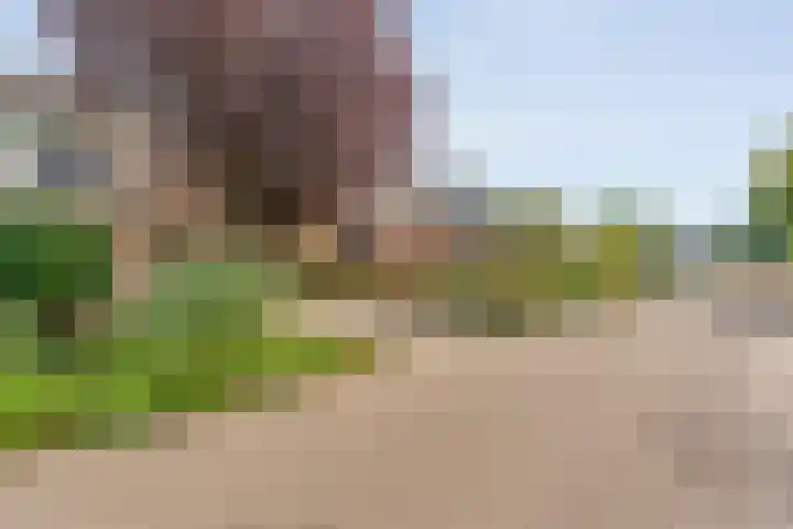 Korhoenweg 16 Havelte thumbnail 66