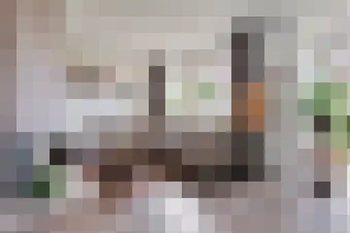 Korhoenweg 16 Havelte thumbnail 7