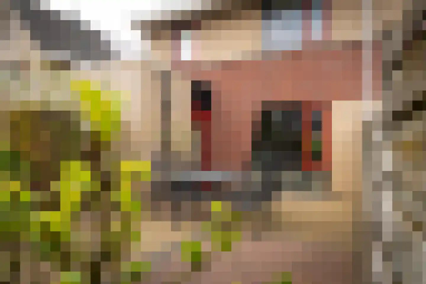 Korhoenweg 17 Epe thumbnail 35