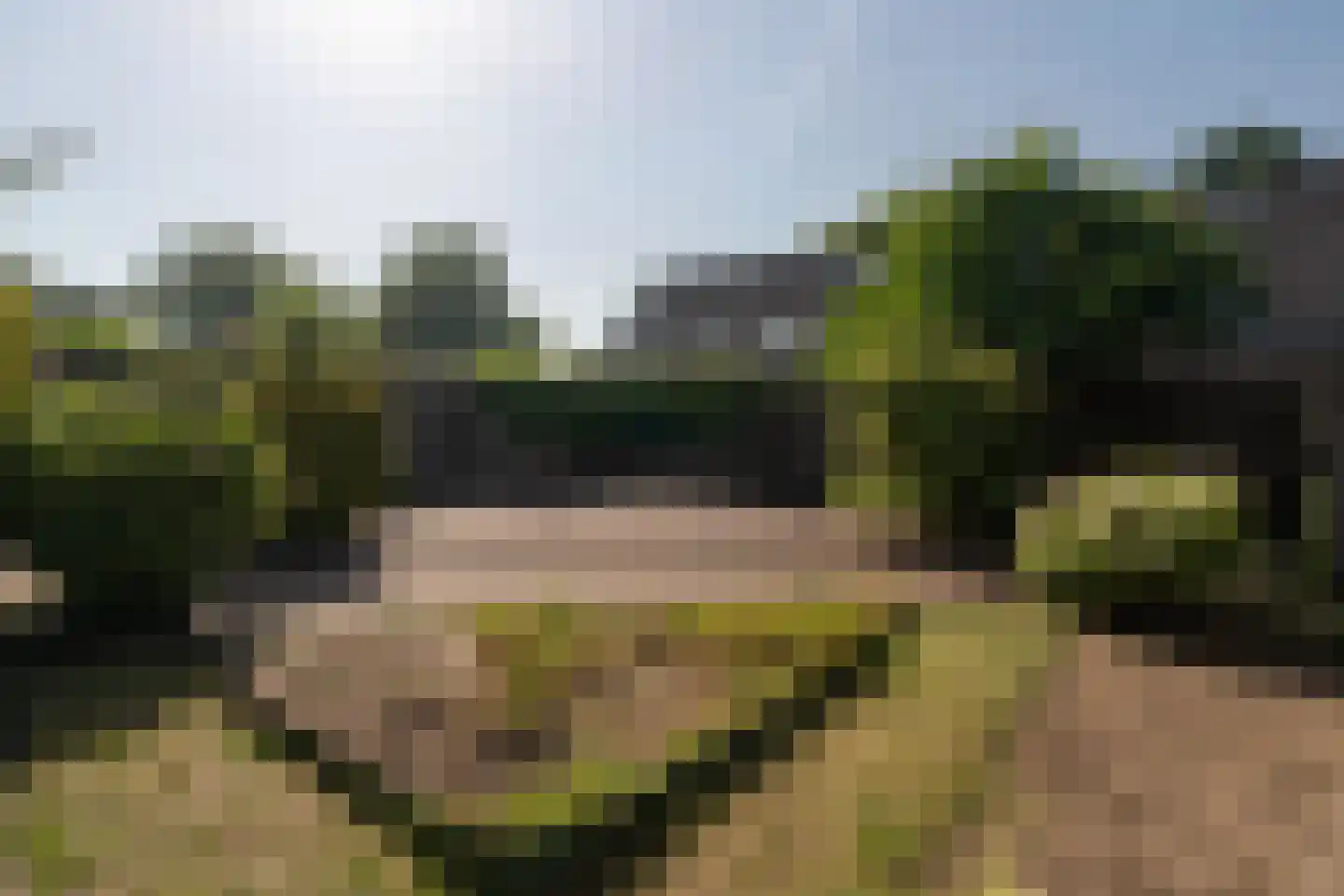 Korhoenweg 17 Epe thumbnail 36