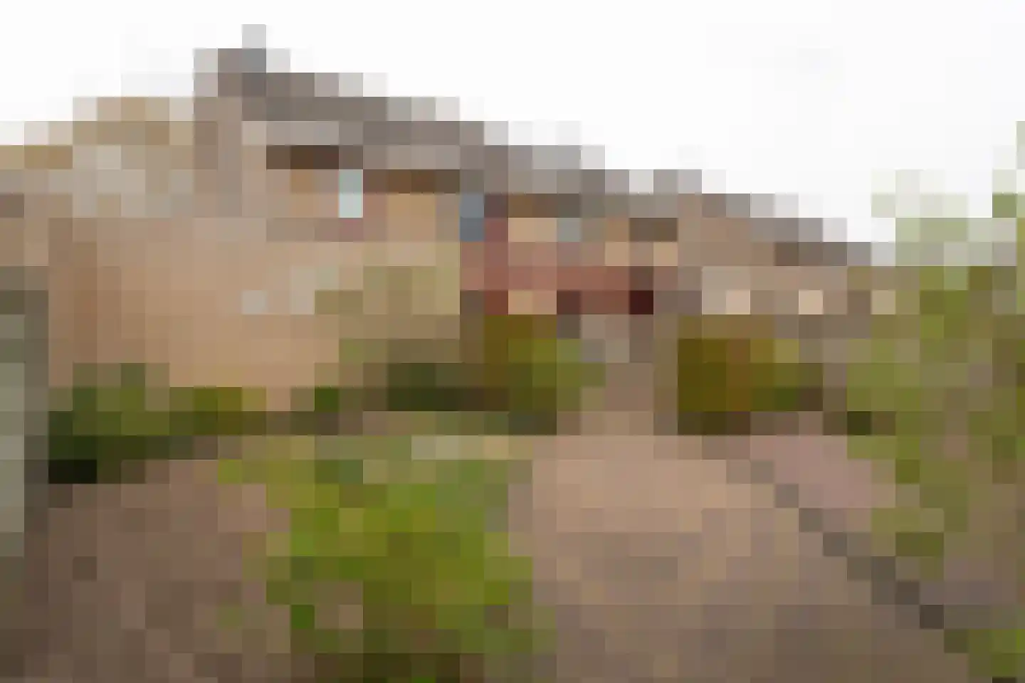 Korhoenweg 17 Epe thumbnail 36