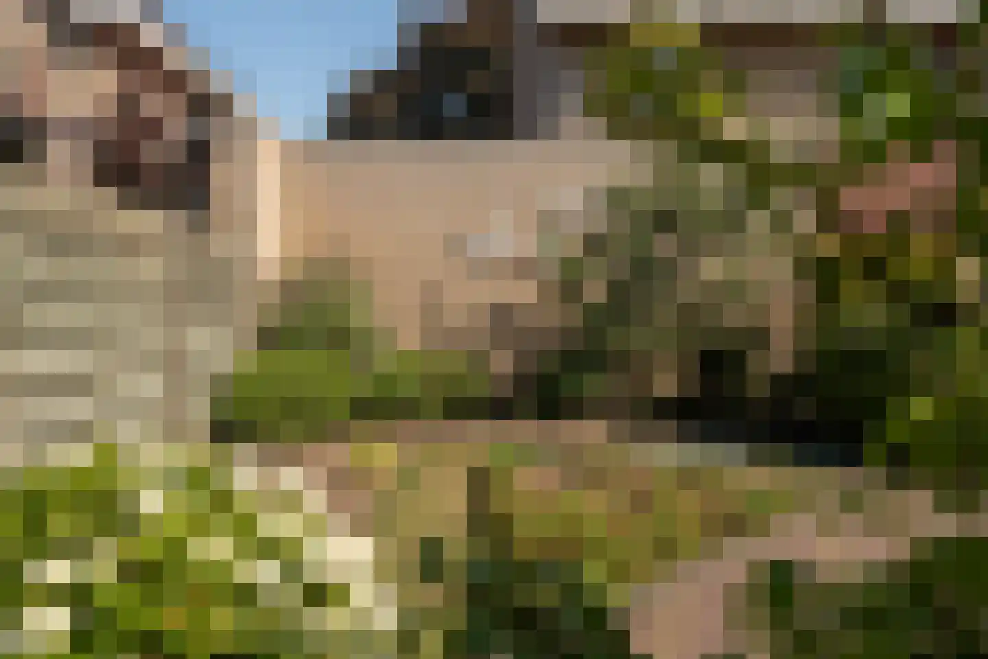 Korhoenweg 17 Epe thumbnail 37