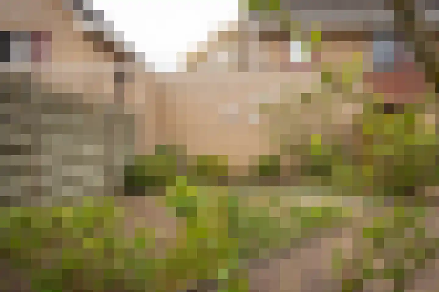 Korhoenweg 17 Epe thumbnail 37