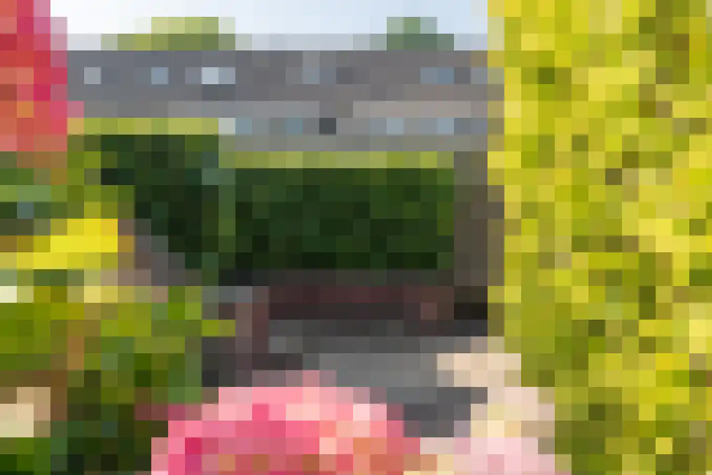 Korhoenweg 17 Epe thumbnail 38