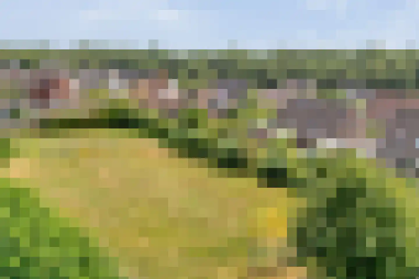 Korhoenweg 17 Havelte thumbnail 54