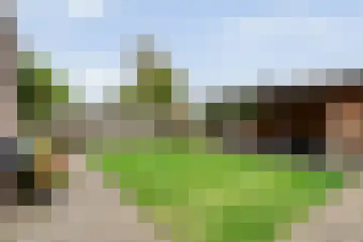 Korhoenweg 23 Havelte thumbnail 28