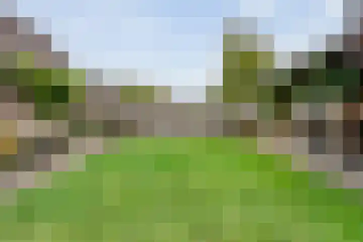 Korhoenweg 23 Havelte thumbnail 29