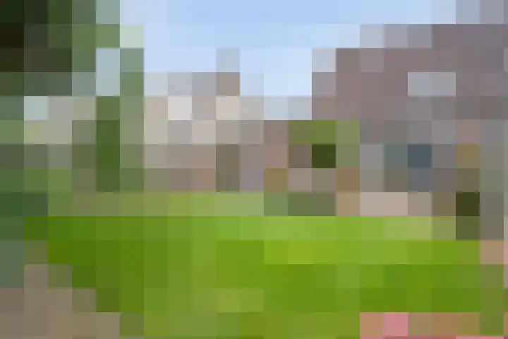 Korhoenweg 23 Havelte thumbnail 33