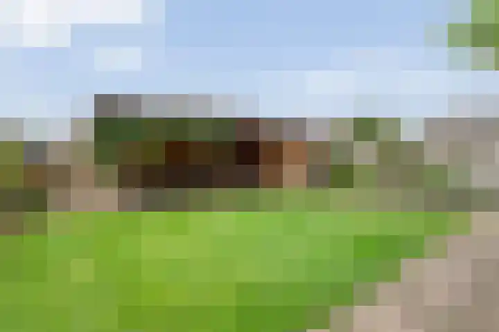 Korhoenweg 23 Havelte thumbnail 37