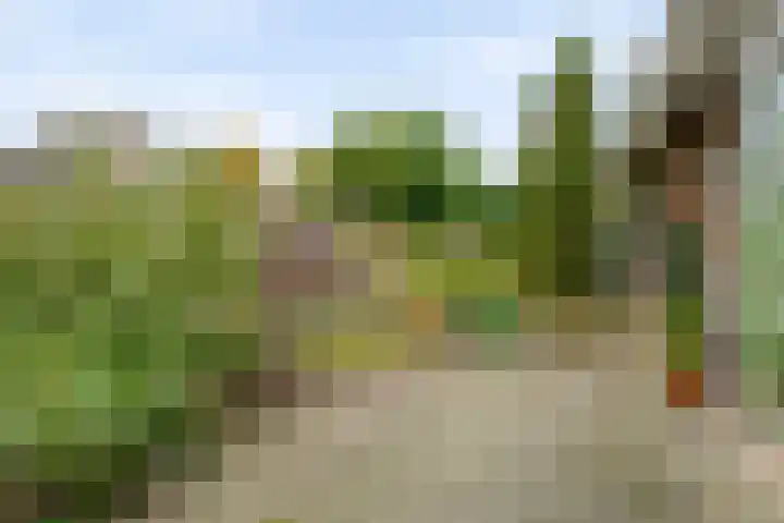 Korhoenweg 23 Havelte thumbnail 38
