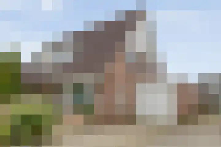 Korhoenweg 23 Havelte thumbnail 43