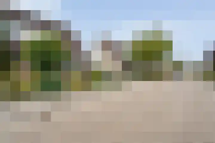 Korhoenweg 23 Havelte thumbnail 45