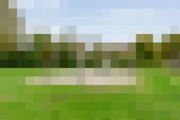 Korhoenweg 23 Havelte thumbnail 46