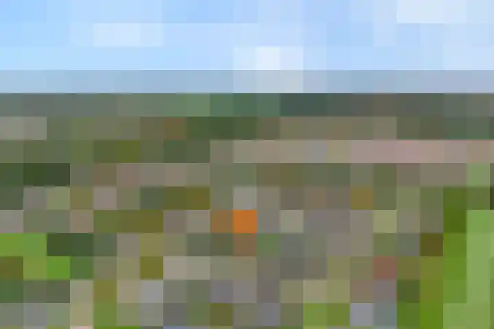Korhoenweg 23 Havelte thumbnail 47