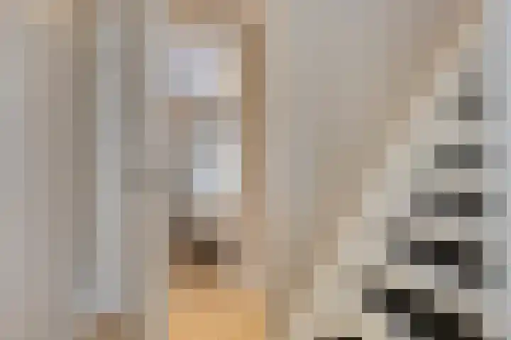 Korhuislaan 2 Rossum thumbnail 19