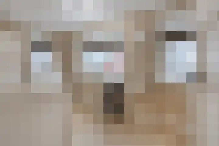 Korhuislaan 2 Rossum thumbnail 21