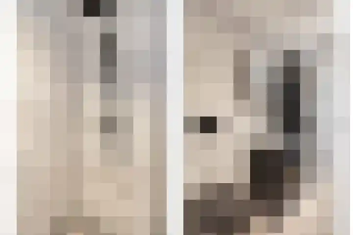 Korhuislaan 2 Rossum thumbnail 24