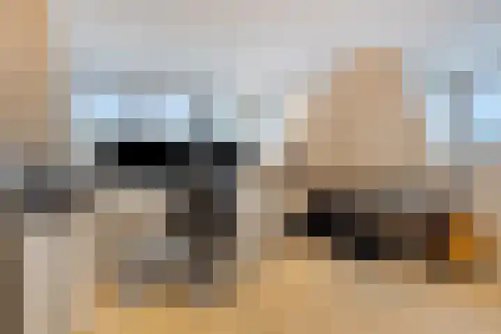 Korhuislaan 2 Rossum thumbnail 26