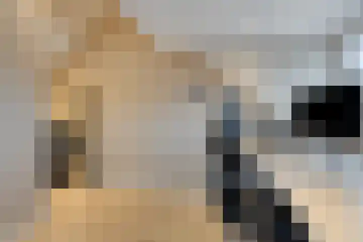 Korhuislaan 2 Rossum thumbnail 27