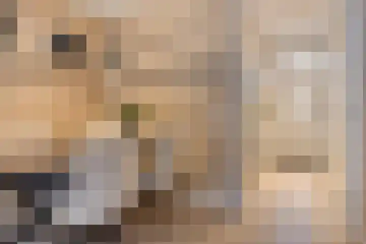 Korhuislaan 2 Rossum thumbnail 4