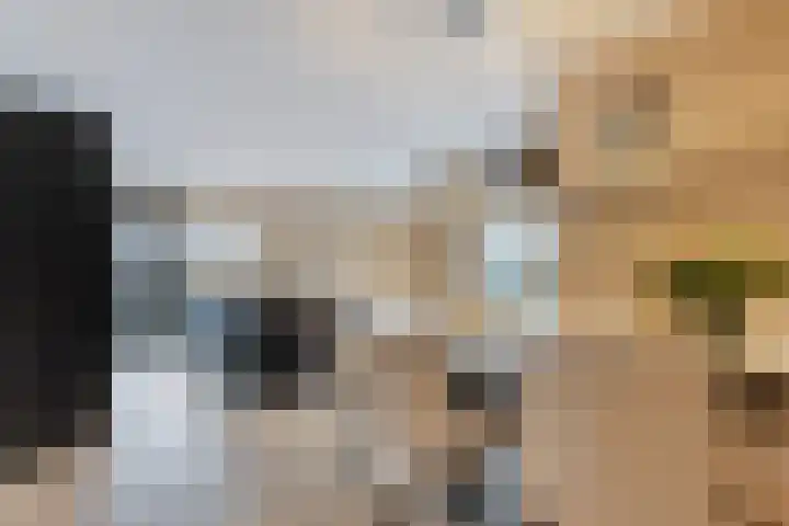 Korhuislaan 2 Rossum thumbnail 5