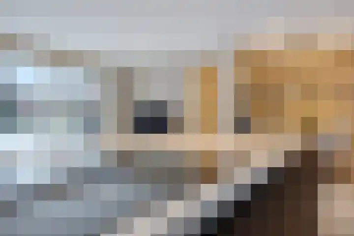 Korhuislaan 2 Rossum thumbnail 8