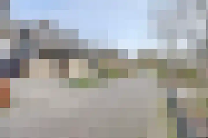Koriander 13 Dronten thumbnail 30