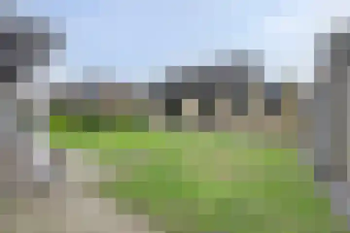 Koriander 13 Dronten thumbnail 34