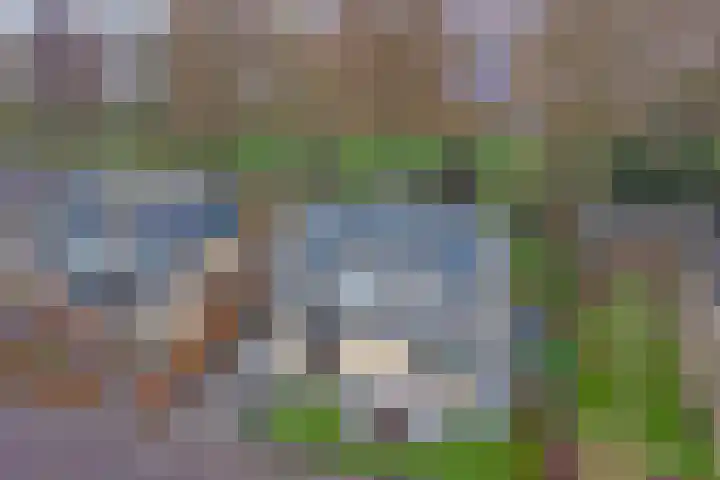 Koriander 13 Dronten thumbnail 35