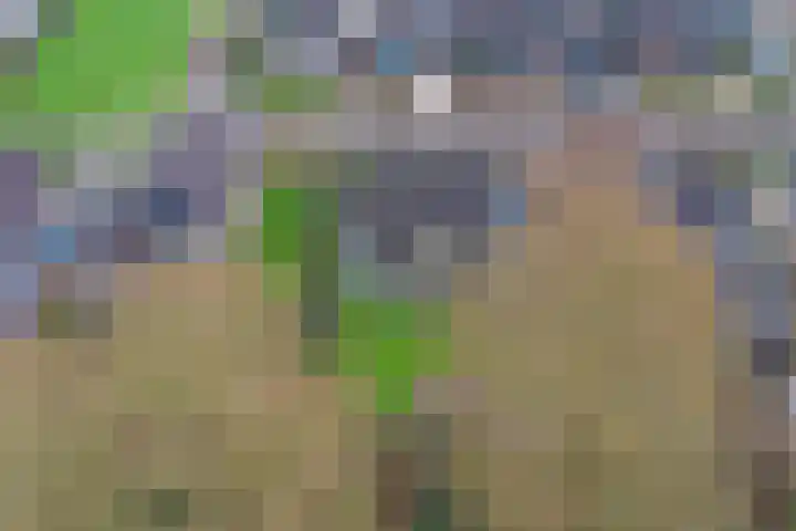 Koriander 13 Dronten thumbnail 36