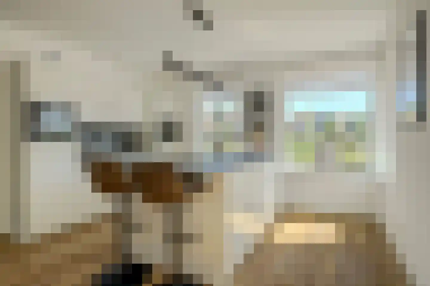 Koriander 15 Heerhugowaard thumbnail 21