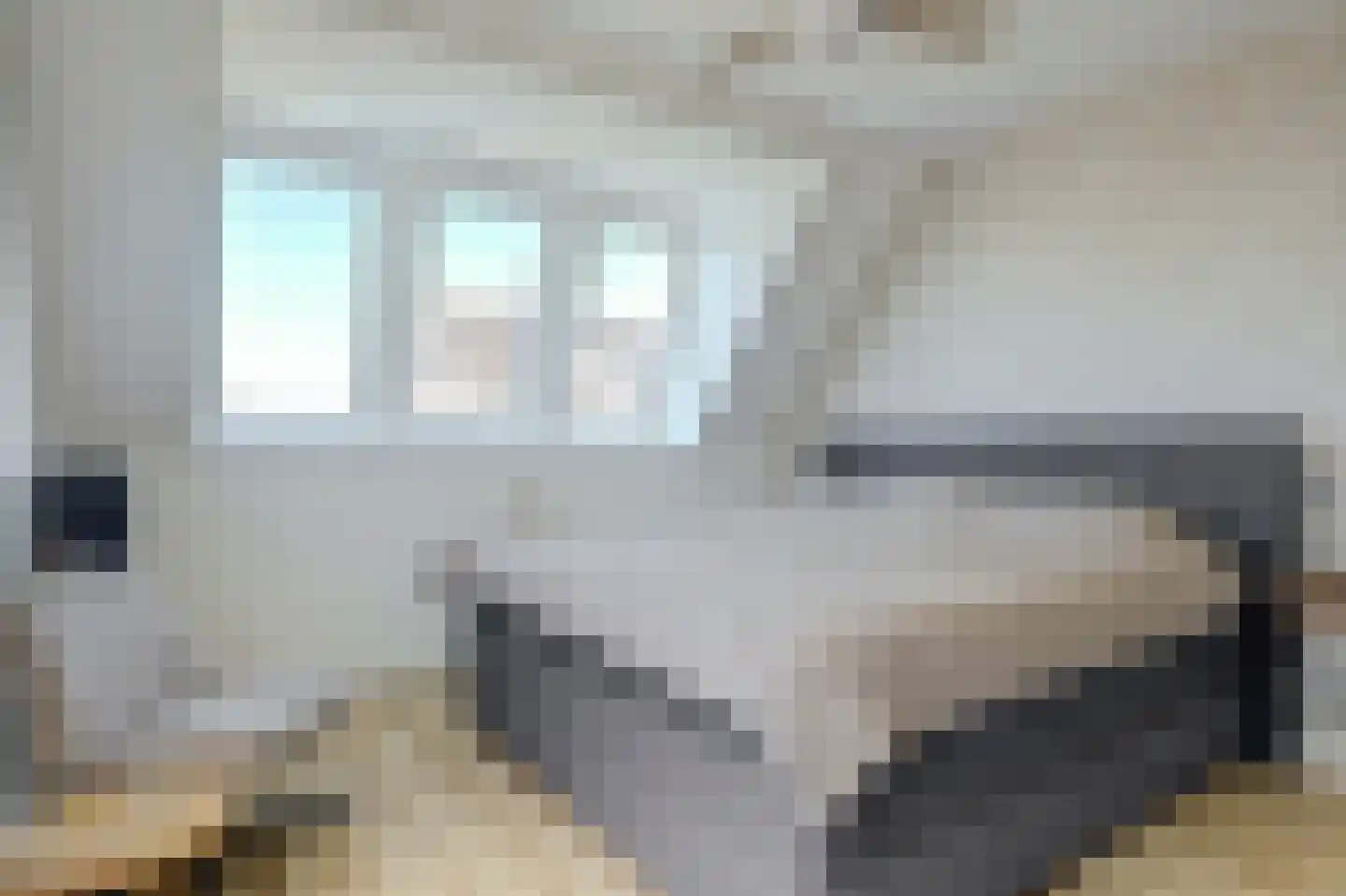 Koriander 15 Heerhugowaard thumbnail 31
