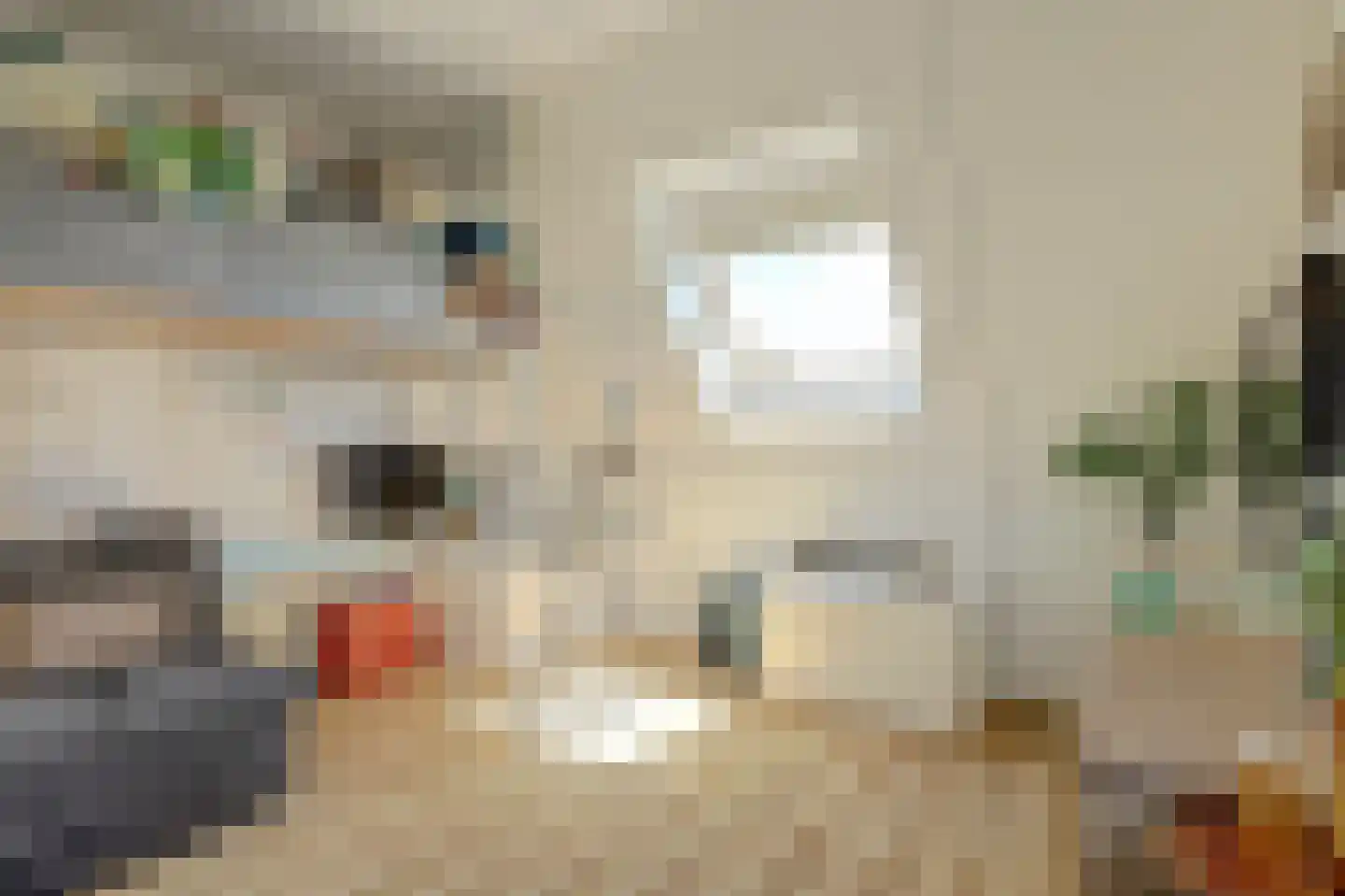 Koriander 15 Heerhugowaard thumbnail 32