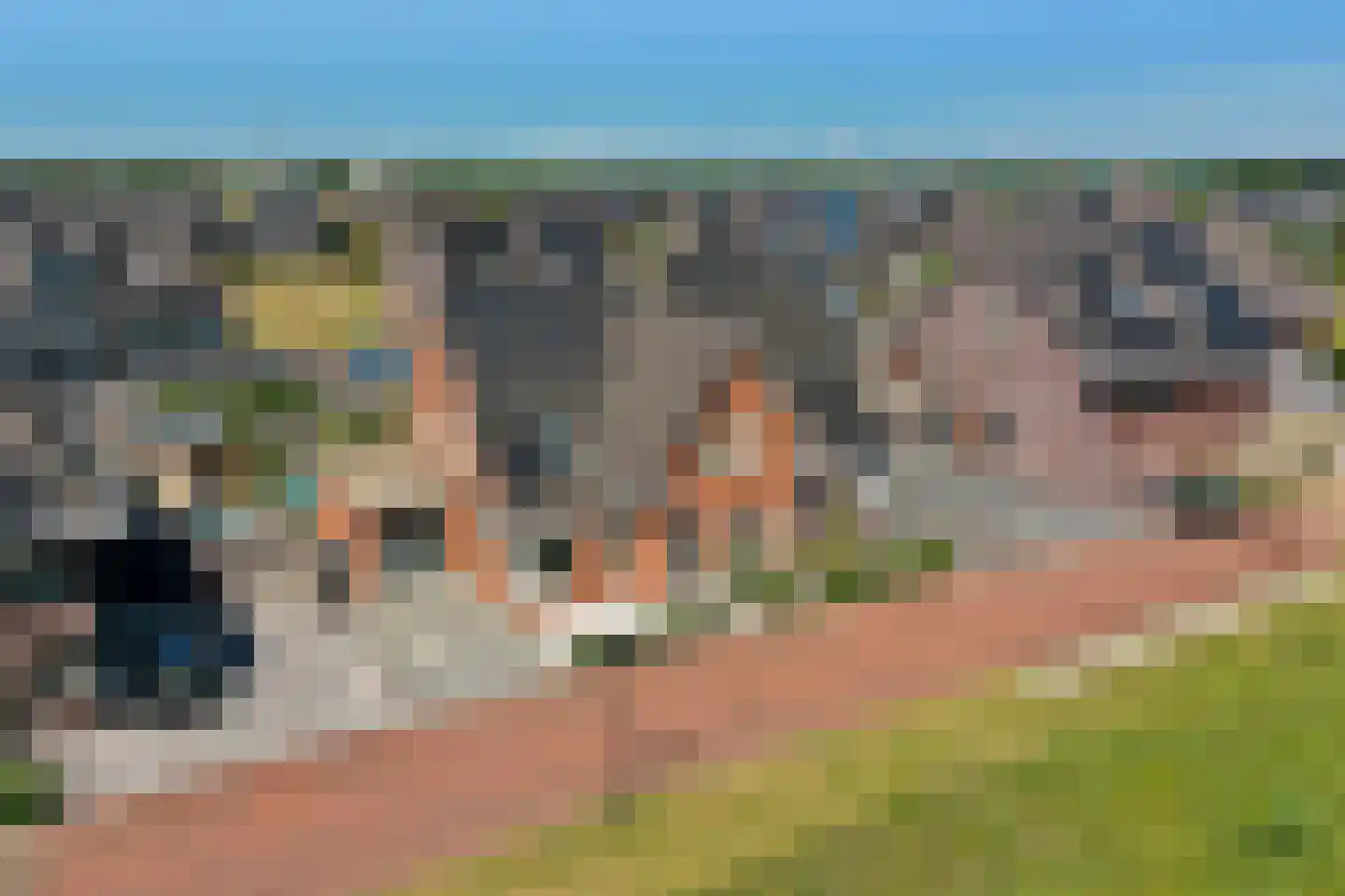 Koriander 15 Heerhugowaard thumbnail 52