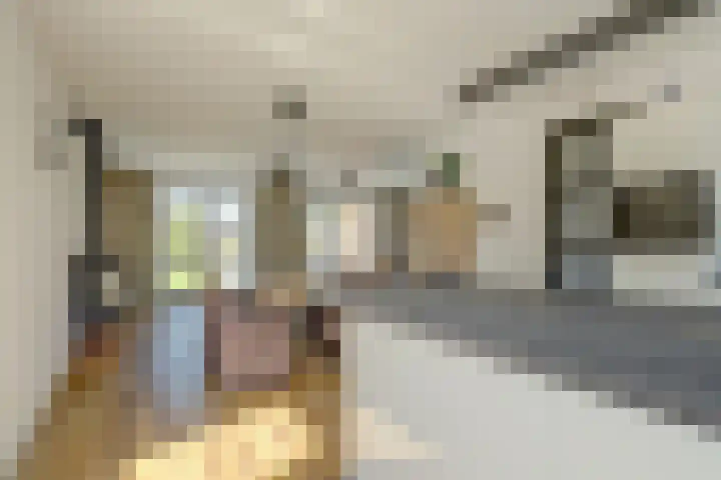 Koriander 15 Heerhugowaard thumbnail 9
