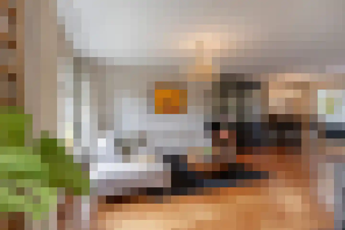 Koriander 2 Sint-Oedenrode thumbnail 11