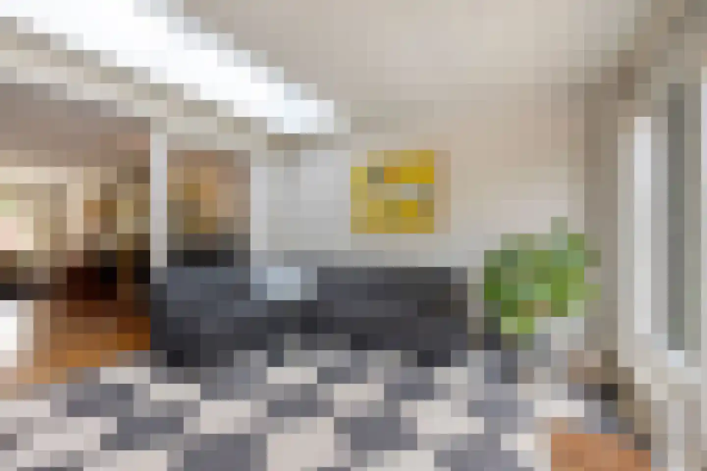 Koriander 2 Sint-Oedenrode thumbnail 18