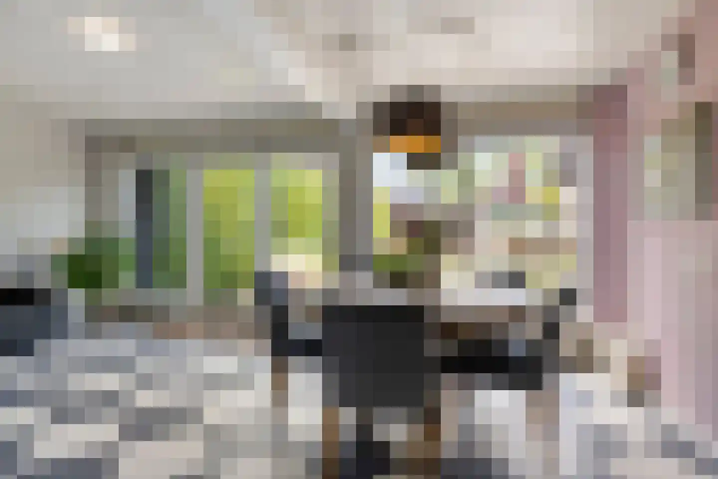 Koriander 2 Sint-Oedenrode thumbnail 20