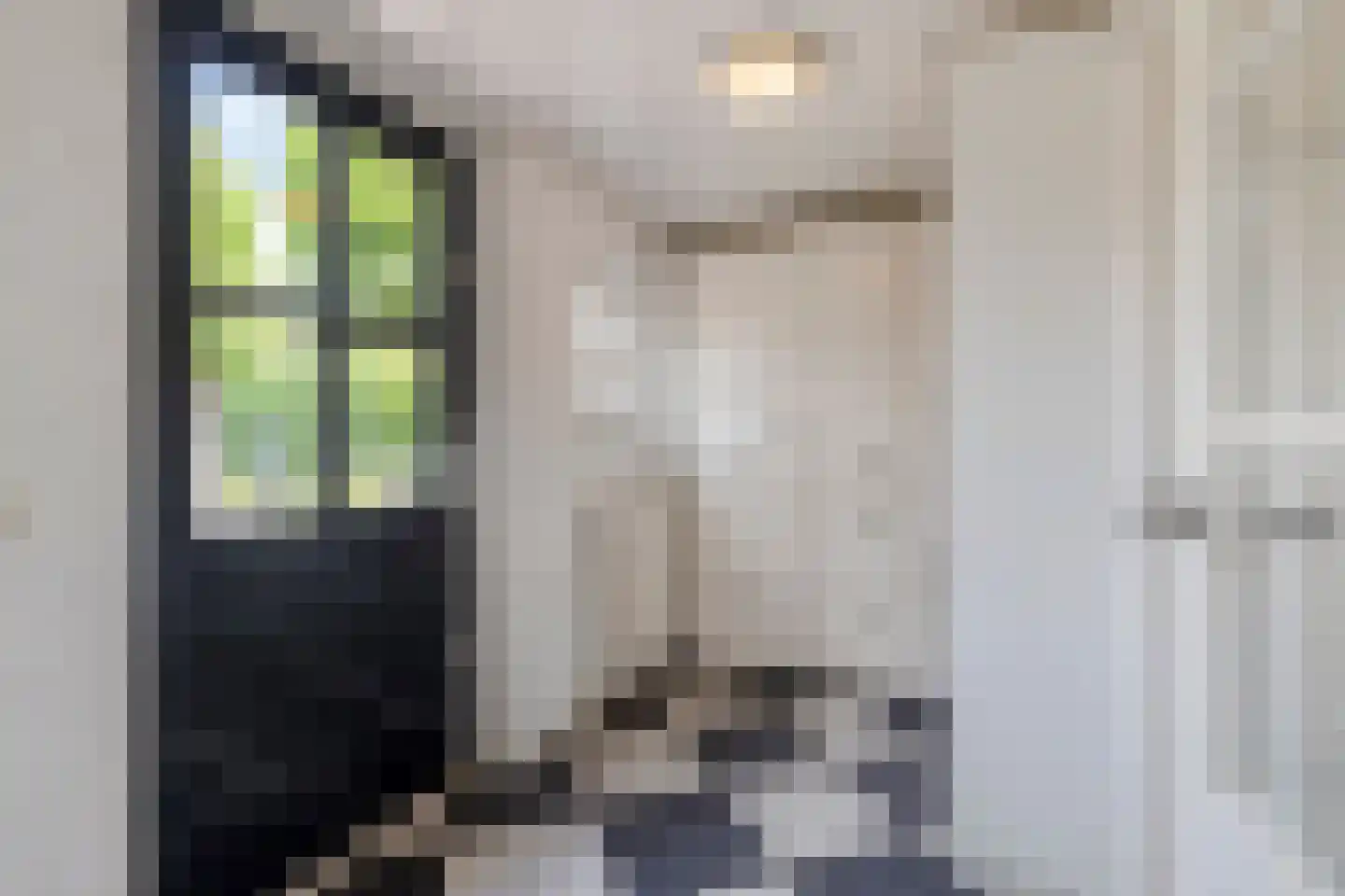 Koriander 2 Sint-Oedenrode thumbnail 24