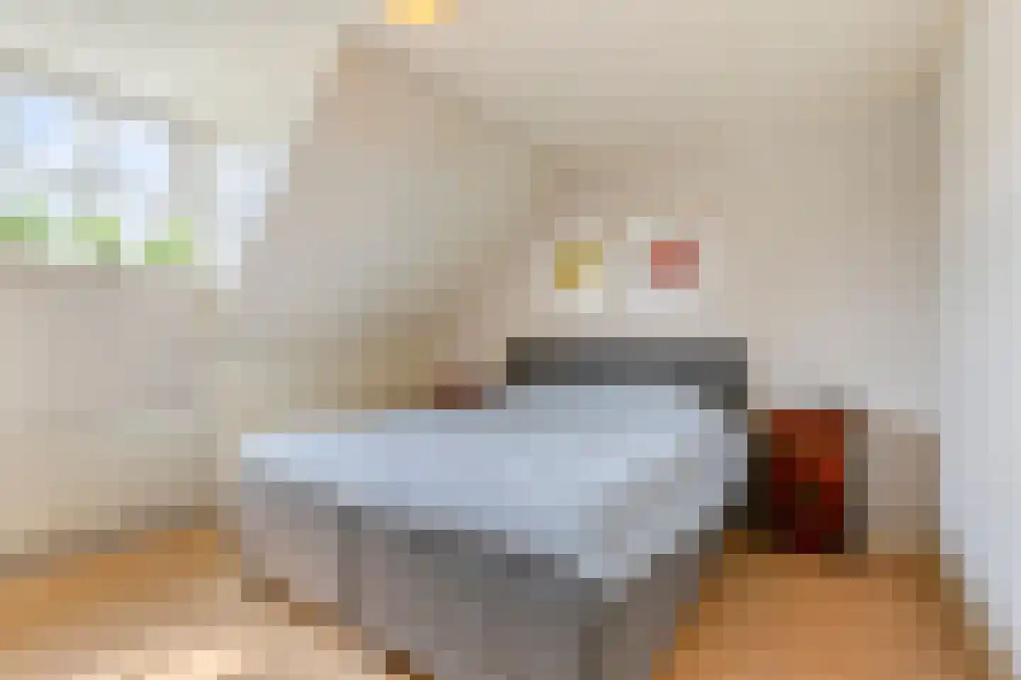 Koriander 2 Sint-Oedenrode thumbnail 29
