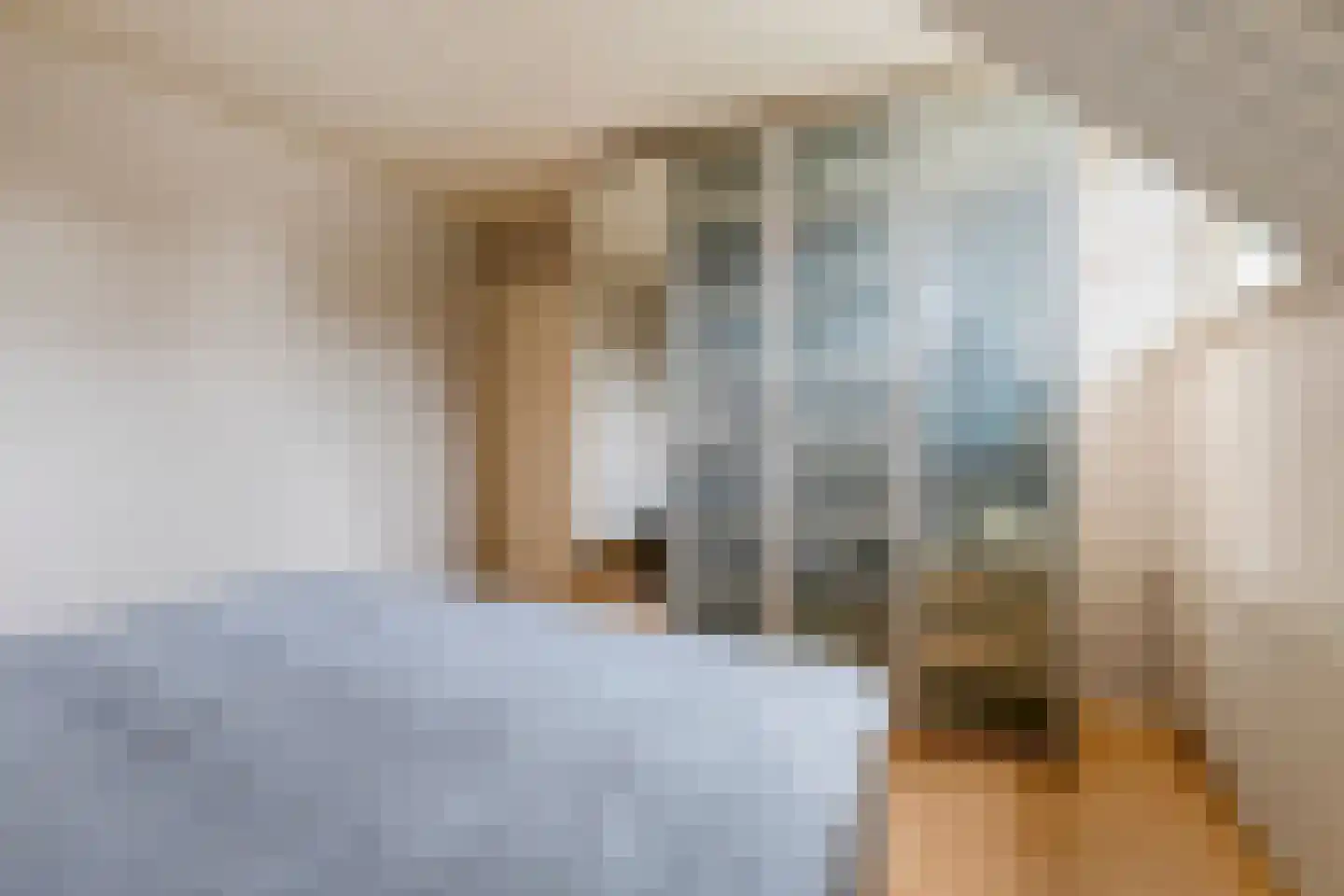 Koriander 2 Sint-Oedenrode thumbnail 30