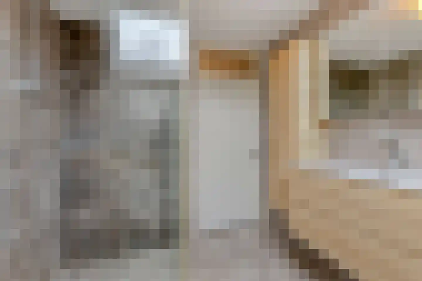 Koriander 2 Sint-Oedenrode thumbnail 32