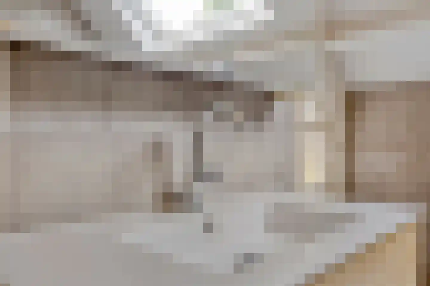 Koriander 2 Sint-Oedenrode thumbnail 34