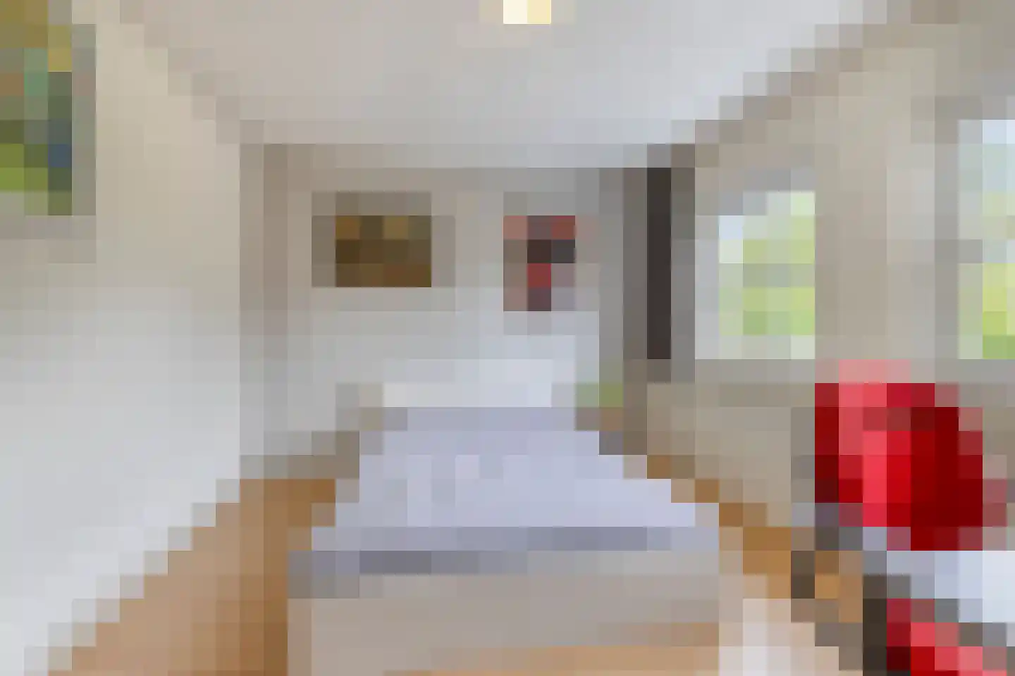 Koriander 2 Sint-Oedenrode thumbnail 35