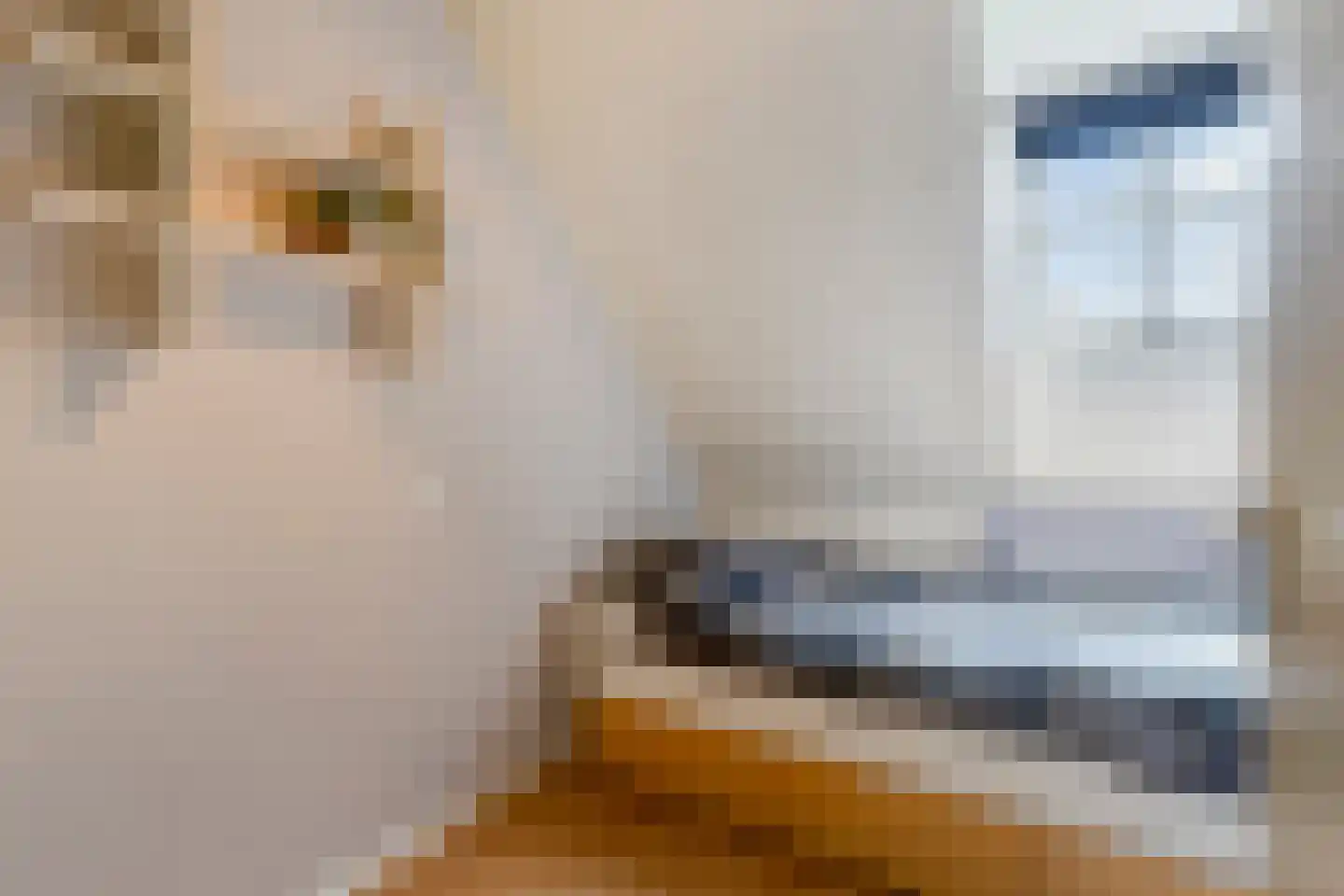 Koriander 2 Sint-Oedenrode thumbnail 37
