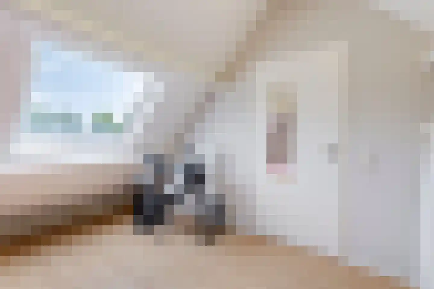 Koriander 2 Sint-Oedenrode thumbnail 42