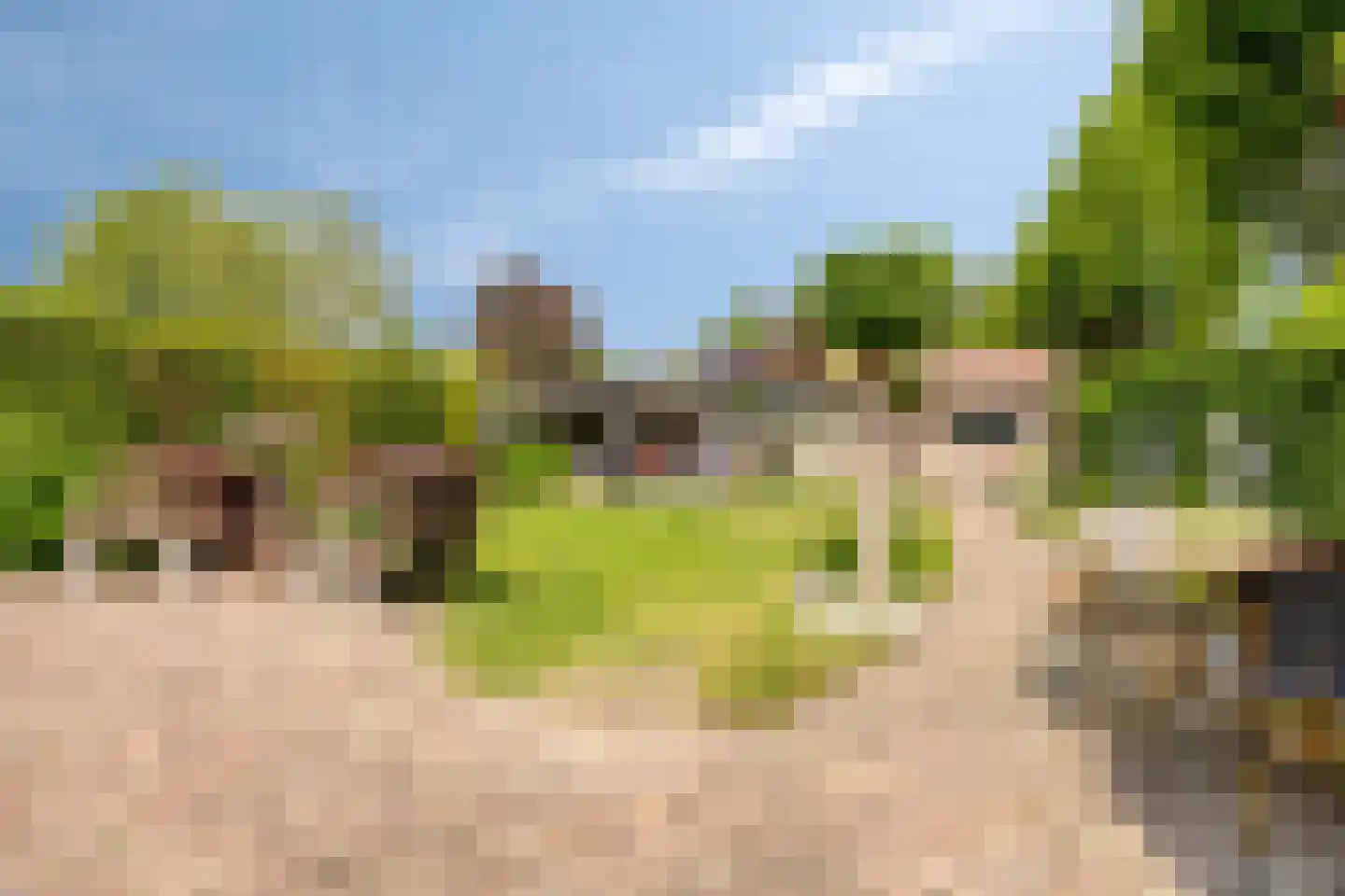 Koriander 2 Sint-Oedenrode thumbnail 43