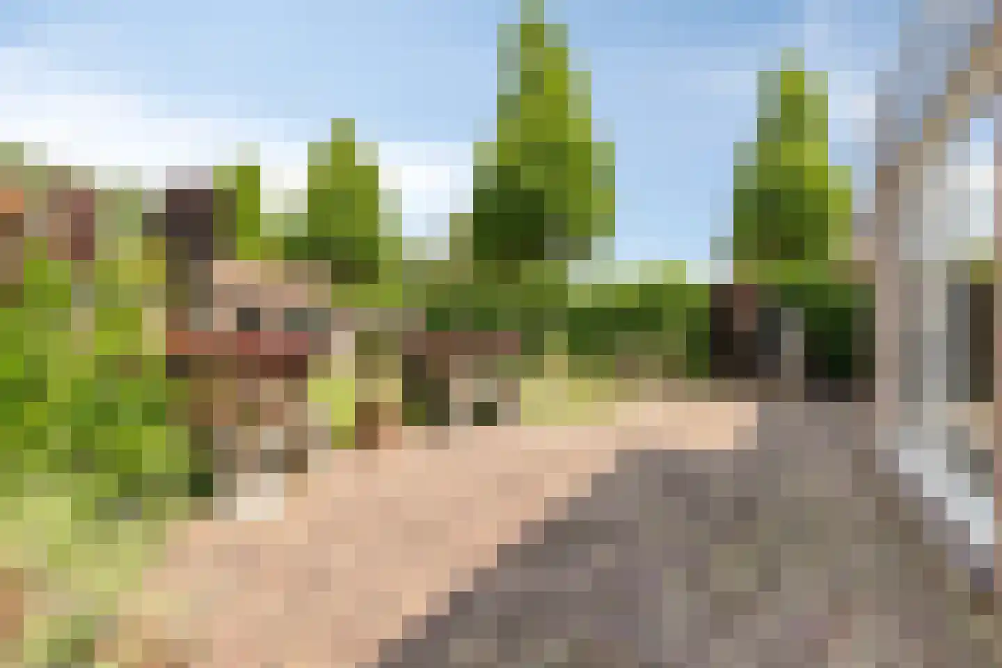 Koriander 2 Sint-Oedenrode thumbnail 44